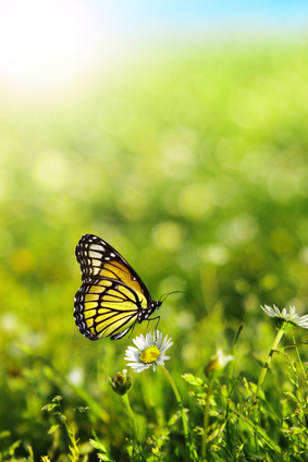 Battle Spring Fever with these Outdoor Exercises